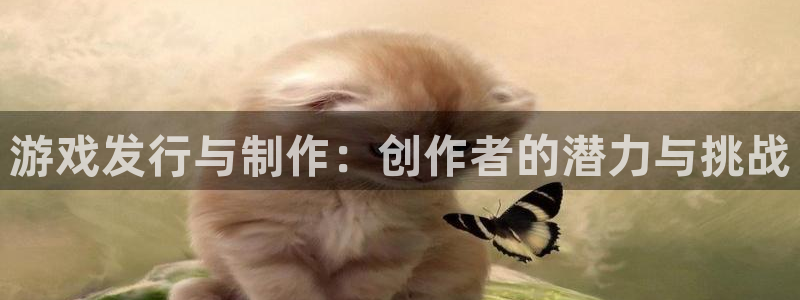ag街机户外：游戏发行与制作：创作者的潜力与挑战