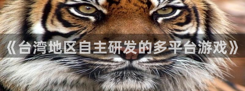 ag街机官网客服电话是多少：《台湾地区自主研发的多平台游戏》