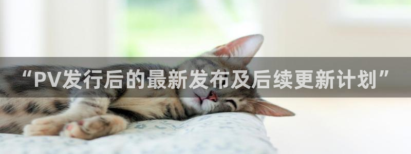 ag街机实业投资(东莞)有限公司：“PV发行后的最新发布及后续更新计划”