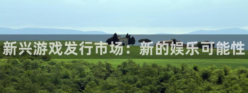 ag街机价格：新兴游戏发行市场：新的娱乐可能性