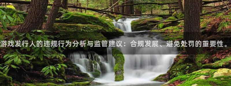 ag街机官网注册方法视频：游戏发行人的违规行为分析与监管建议：合规发展、避免处罚的重要性。