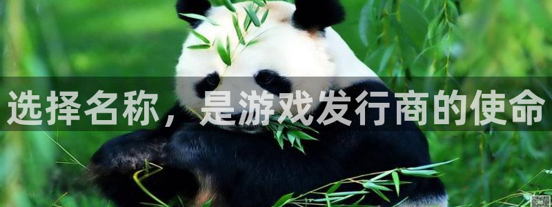 ag街机官网登录注册账号失败：选择名称，是游戏发行商的使命