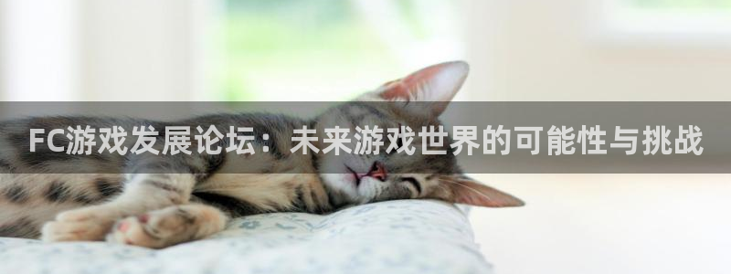 ag街机集团董事长刘一辰简历：FC游戏发展论坛：未来游戏世界的可能性与挑战