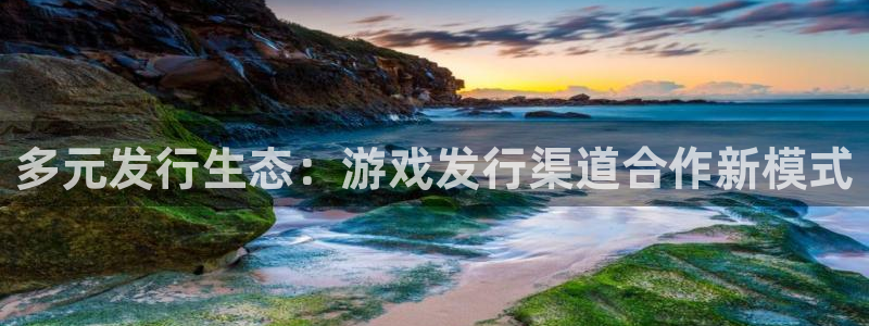 ag街机官网客服服务：多元发行生态：游戏发行渠道合作新模式
