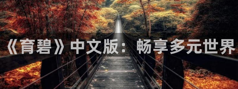 ag街机官网注册方法视频教程：《育碧》中文版：畅享多元世界