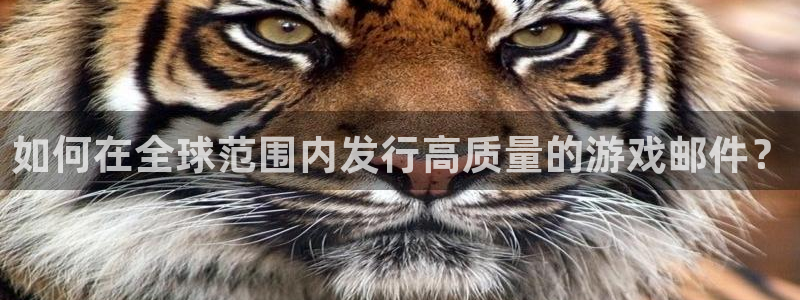 ag街机球队：如何在全球范围内发行高质量的游戏邮件？