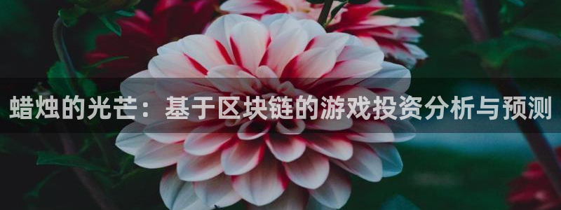 广州ag街机投资：蜡烛的光芒：基于区块链的游戏投资分析与预测