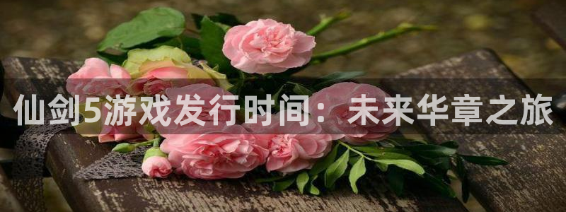 ag街机好还是红狮好：仙剑5游戏发行时间：未来华章之旅
