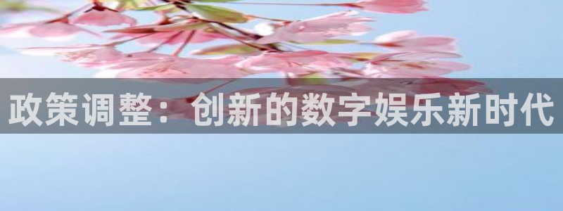 ag街机子文化创意做什么的：政策调整：创新的数字娱乐新时代