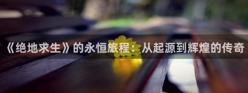 ag街机子怎么来的：《绝地求生》的永恒旅程：从起源到辉煌的传奇