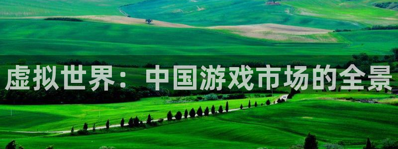 ag街机gs