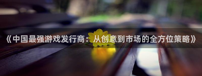 ag街机官网登录注册账号失败：《中国最强游戏发行商：从创意到市场的全方位策略》