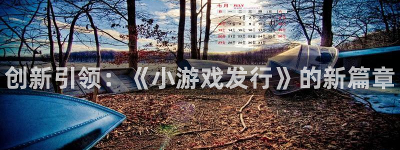 ag街机官网注册平台是什么公司：创新引领：《小游戏发行》的新篇章