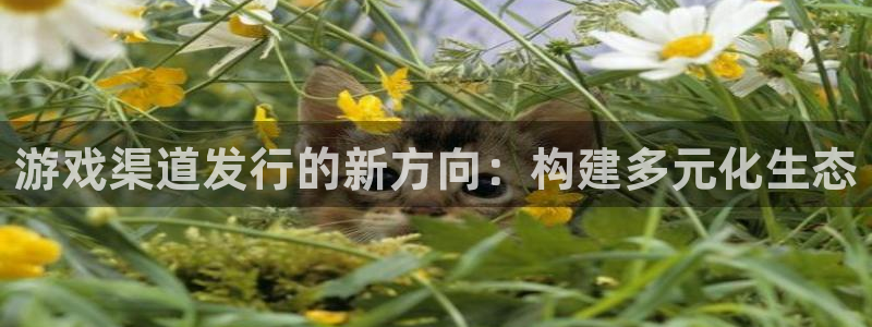 ag街机子图片高清图片