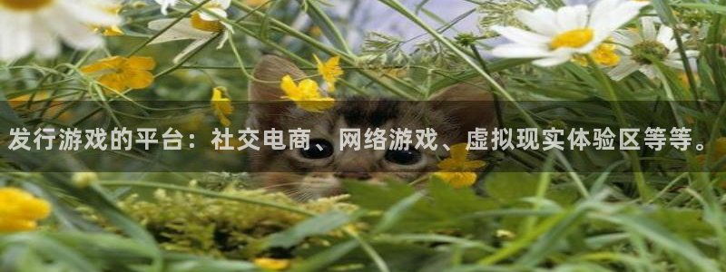 ag街机官网登录注册失败怎么回事：发行游戏的平台：社交电商、网络游戏、虚拟现实体验区等等。