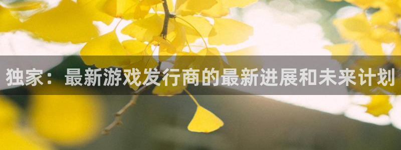 ag街机官网解绑银行卡怎么操作：独家：最新游戏发行商的最新进展和未来计划