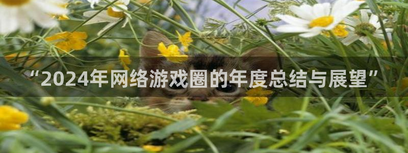 ag街机电子商务怎么样